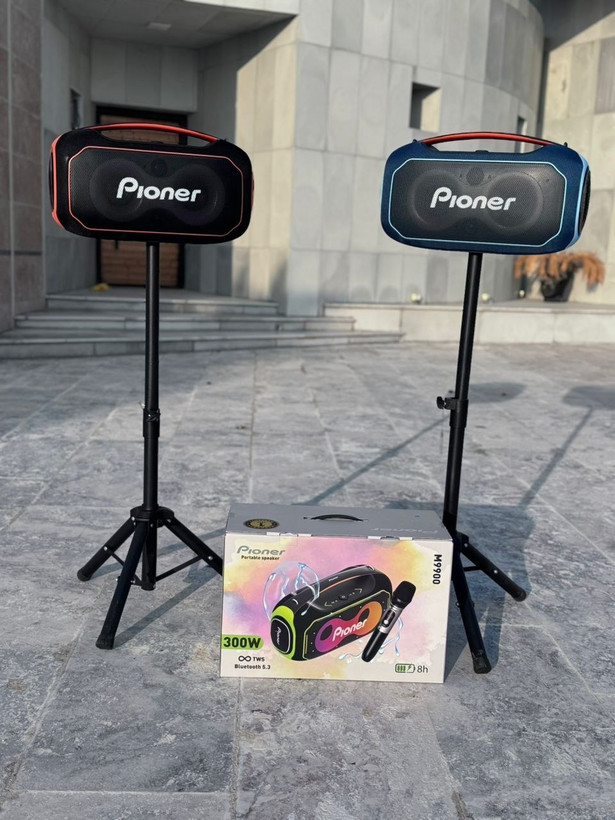 اسپیکر بلوتوثی پایونر مدل M9900